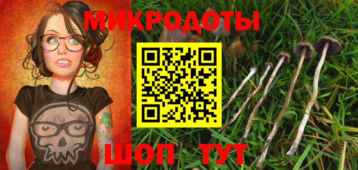Галлюциногенные грибы Magic Shrooms  Псилоцибиновые грибы Psilocybe  Отрадный  закладка  Вход с VPN 