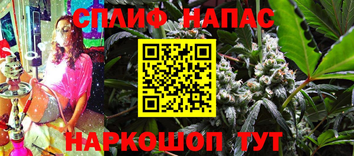 Конопля семена Отрадный